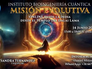 Terapia Grupal Misión Evolutiva